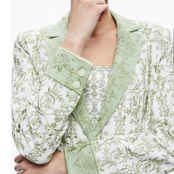 Alice + Olivia Macey Embroidered Cotton Linen Blazer Republic Geo Green Size 2 - Picture 10 of 16